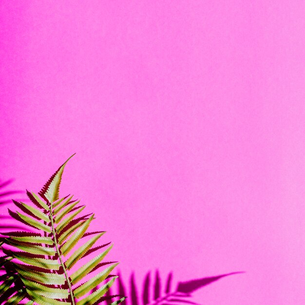 Violet Summer Id Card